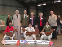 2004 BIS Winners